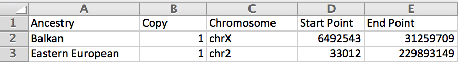 A sample segment of the CSV file when viewed on Microsoft Excel
