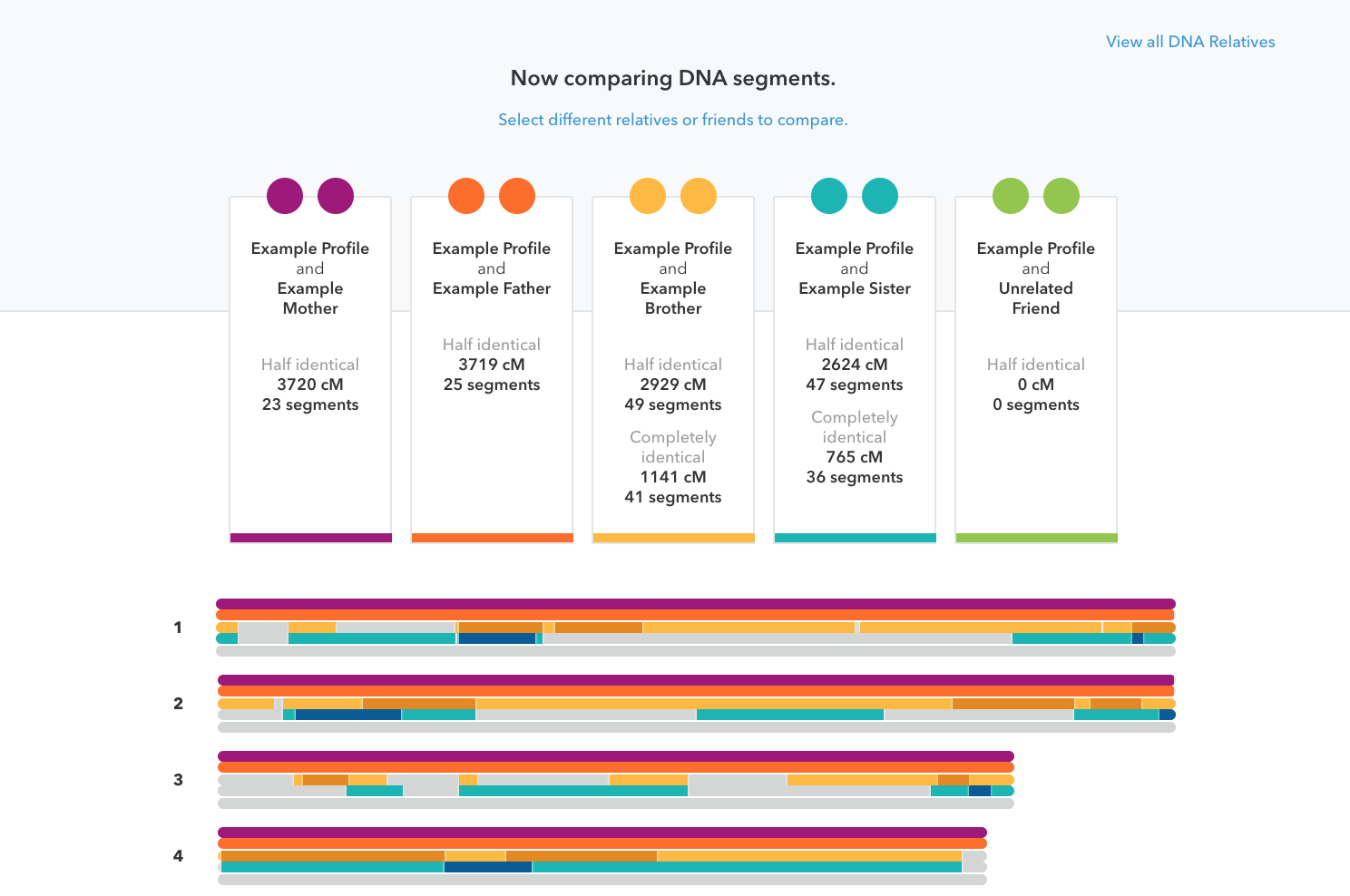 A sample of DNA Segment comparisons