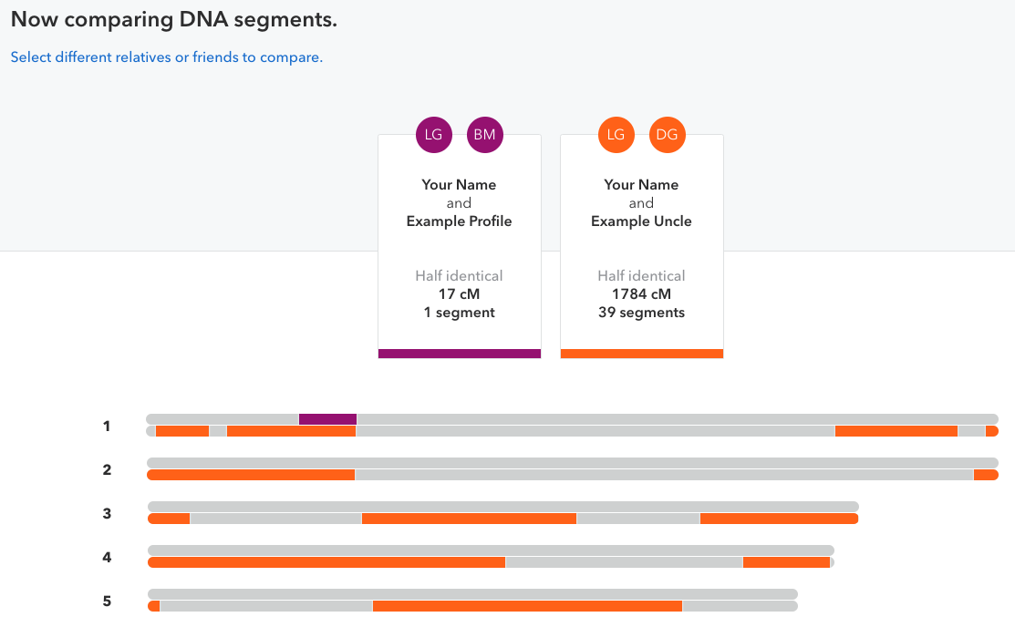 An example of the DNA segments feature