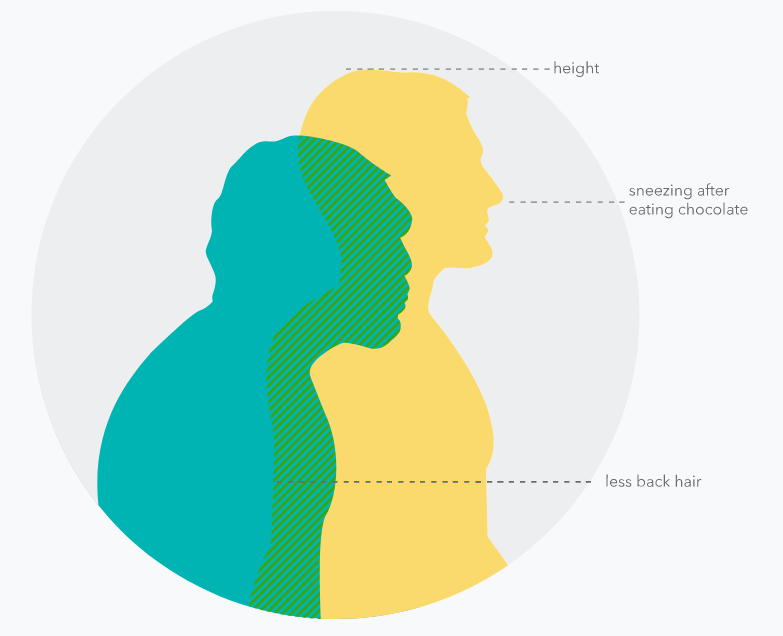 A venn diagram graphic depicting an example of overlap between Neanderthal and human genetics
