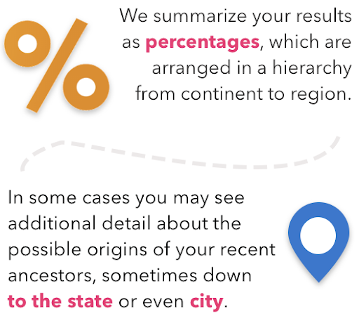 We summarize your results as percentages, which are arranged in a hierarchy from continent to region. In some cases you may see additional detail about the possible origins of your recent ancestors, sometimes down to the state or even city.